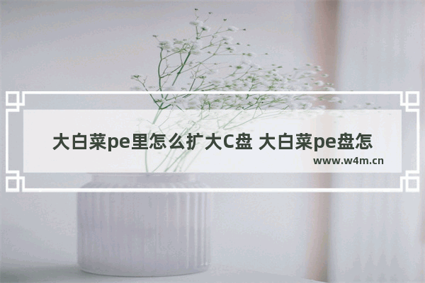 大白菜pe里怎么扩大C盘 大白菜pe盘怎么装系统