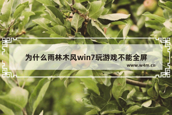 为什么雨林木风win7玩游戏不能全屏