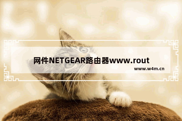 网件NETGEAR路由器www.routerlogin.net/com无法访问