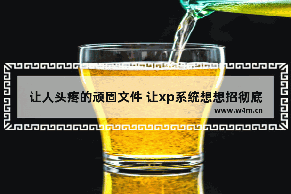 让人头疼的顽固文件 让xp系统想想招彻底清除