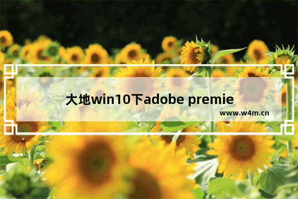 大地win10下adobe premiere pro打不开是怎么回事