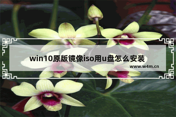 win10原版镜像iso用u盘怎么安装 win10原版镜像iso用u盘安装方法