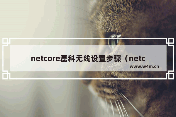 netcore磊科无线设置步骤（netcore磊科路由器登录）