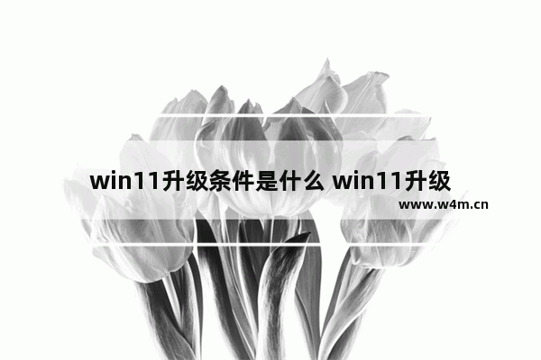 win11升级条件是什么 win11升级条件介绍