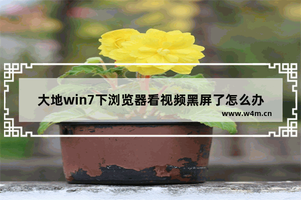 大地win7下浏览器看视频黑屏了怎么办