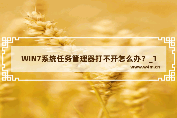 WIN7系统任务管理器打不开怎么办？_1