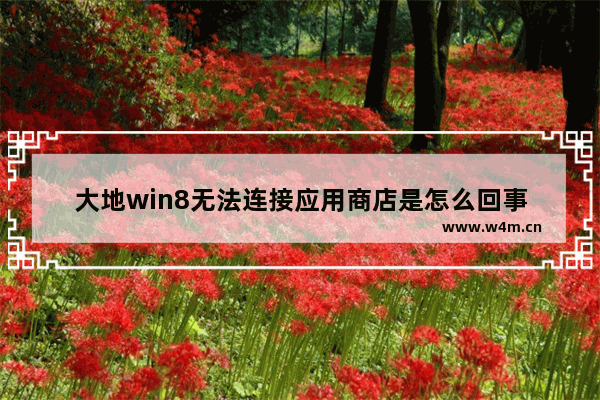 大地win8无法连接应用商店是怎么回事