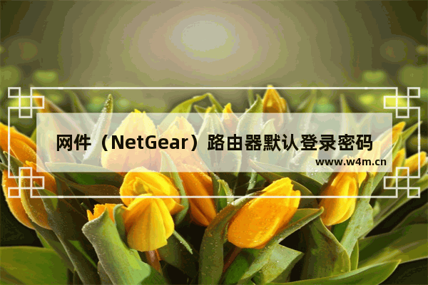 网件（NetGear）路由器默认登录密码列表