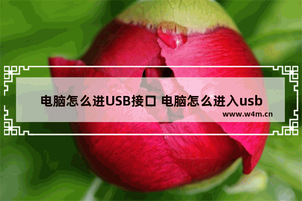 电脑怎么进USB接口 电脑怎么进入usb