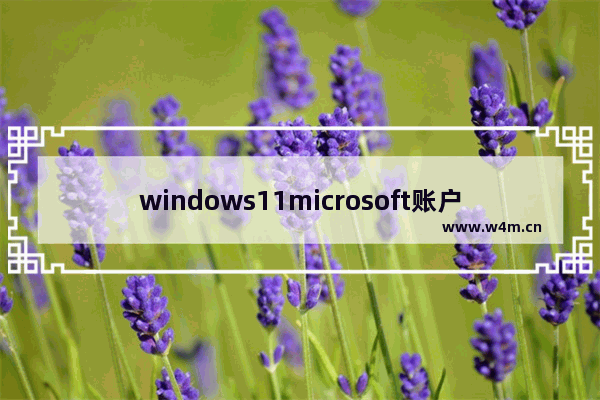 windows11microsoft账户已锁定怎么解除