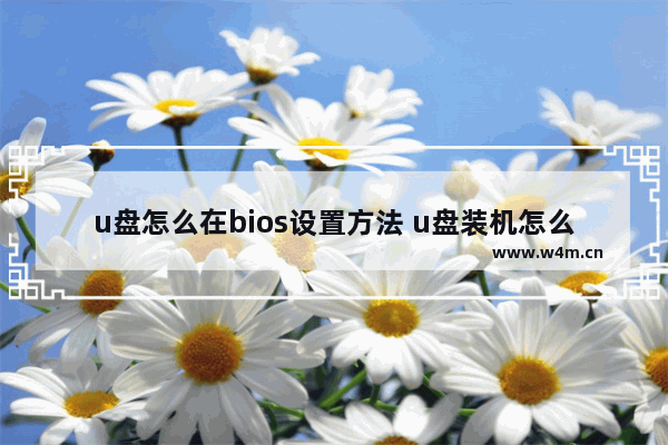 u盘怎么在bios设置方法 u盘装机怎么设置bios