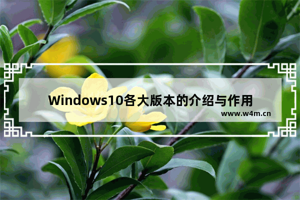 Windows10各大版本的介绍与作用