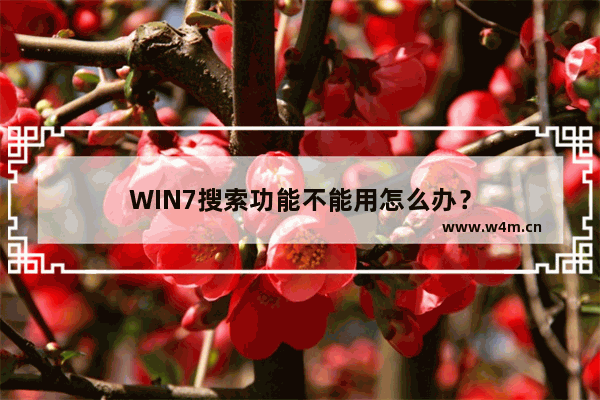 WIN7搜索功能不能用怎么办？