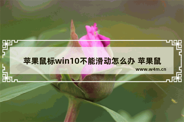 苹果鼠标win10不能滑动怎么办 苹果鼠标win10不能滑动怎么解决