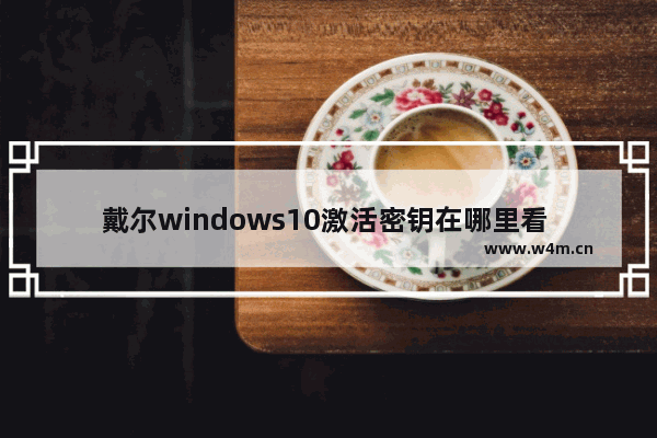 戴尔windows10激活密钥在哪里看 戴尔windows10激活密钥怎么看