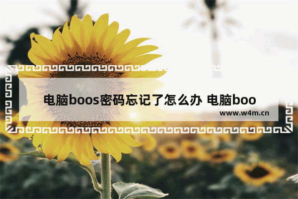 电脑boos密码忘记了怎么办 电脑boot密码忘记了