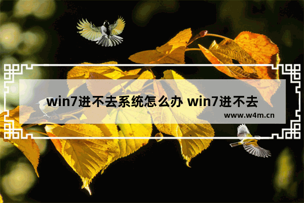 win7进不去系统怎么办 win7进不去系统怎么办教程