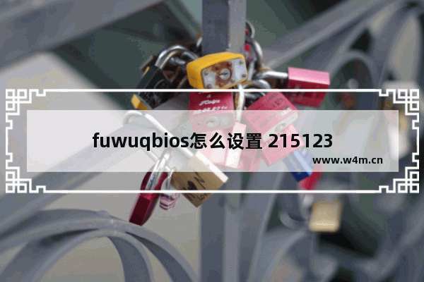 fuwuqbios怎么设置 2151236bios设置