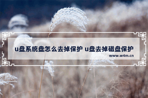 u盘系统盘怎么去掉保护 u盘去掉磁盘保护