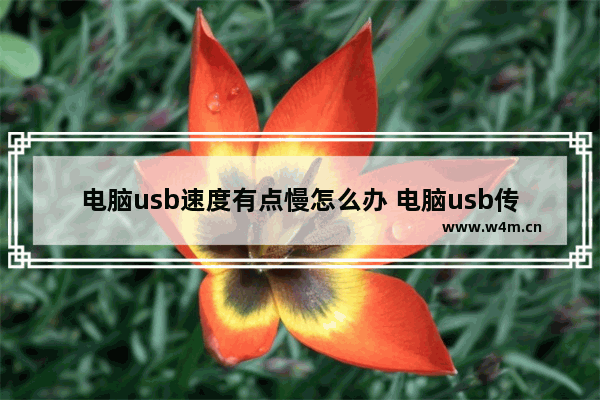 电脑usb速度有点慢怎么办 电脑usb传输速度很慢