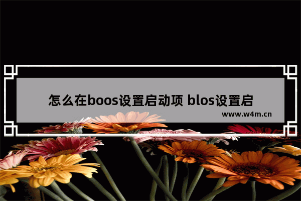 怎么在boos设置启动项 blos设置启动项