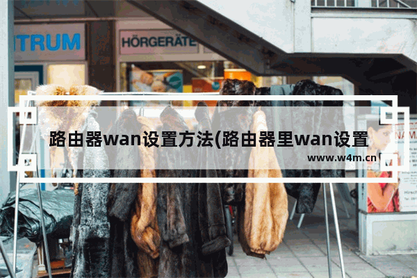 路由器wan设置方法(路由器里wan设置和lan设置)