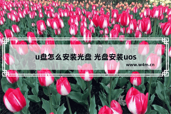 u盘怎么安装光盘 光盘安装uos