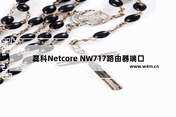 磊科Netcore NW717路由器端口映射如何设置方法