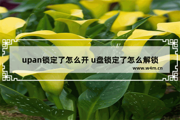 upan锁定了怎么开 u盘锁定了怎么解锁