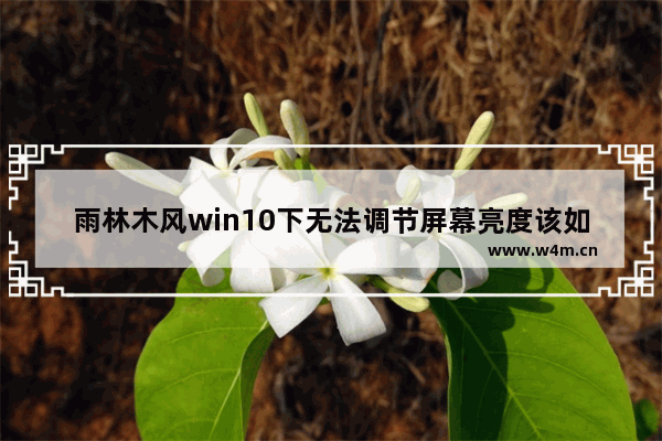 雨林木风win10下无法调节屏幕亮度该如何修复