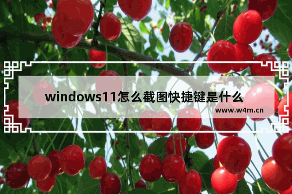 windows11怎么截图快捷键是什么 windows11怎么截图快捷键介绍