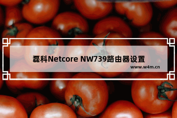 磊科Netcore NW739路由器设置上网的图文方法