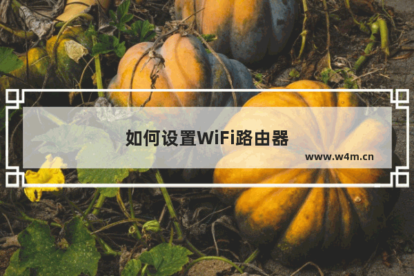 如何设置WiFi路由器