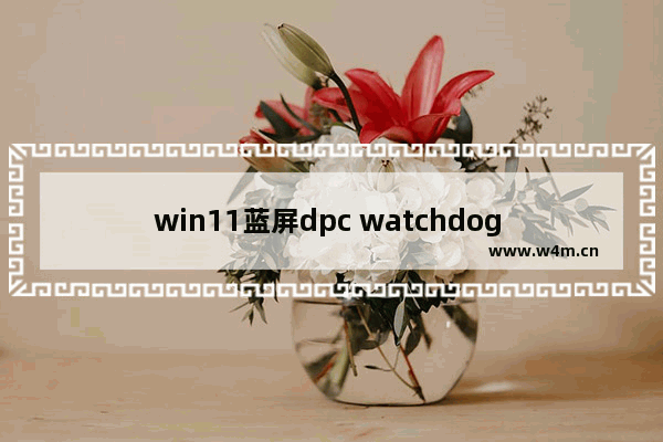 win11蓝屏dpc watchdog violation怎么解决