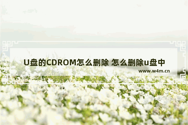 U盘的CDROM怎么删除 怎么删除u盘中的cd驱动器