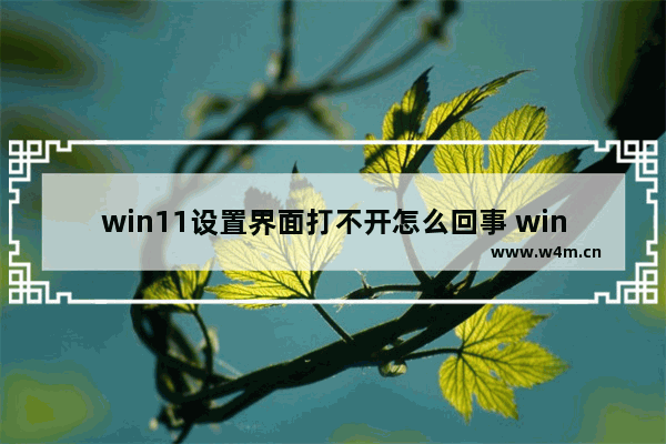 win11设置界面打不开怎么回事 win11设置界面打不开解决方法