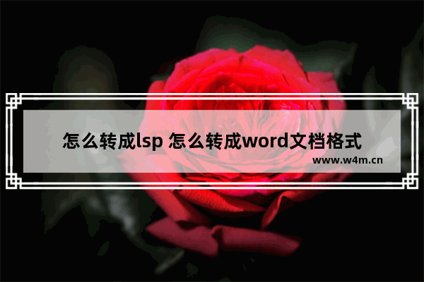 怎么转成lsp 怎么转成word文档格式