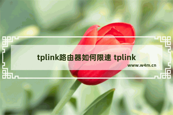 tplink路由器如何限速 tplink路由器限速设置办法