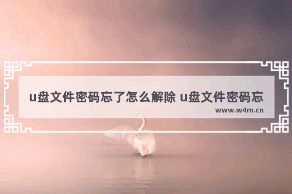 u盘文件密码忘了怎么解除 u盘文件密码忘了怎么办