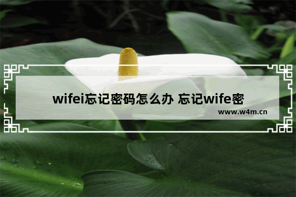 wifei忘记密码怎么办 忘记wife密码了怎么办?