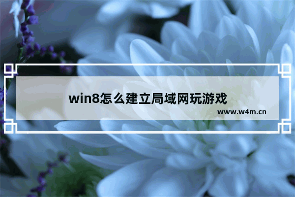 win8怎么建立局域网玩游戏