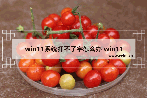 win11系统打不了字怎么办 win11系统打不了字解决办法