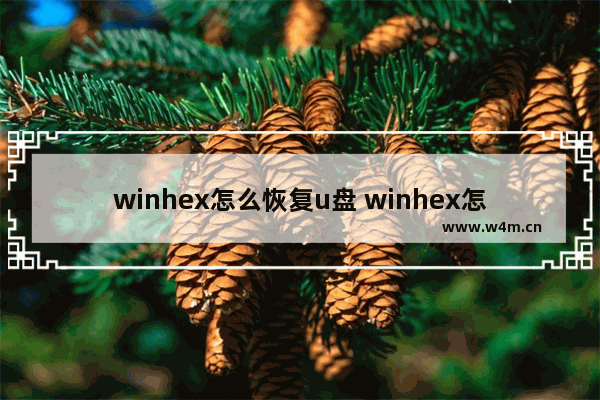 winhex怎么恢复u盘 winhex怎么恢复u盘扇区