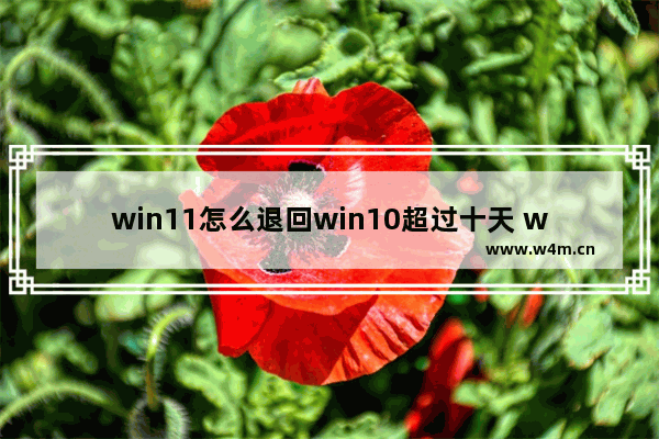 win11怎么退回win10超过十天 win11超过十天退回win10方法介绍