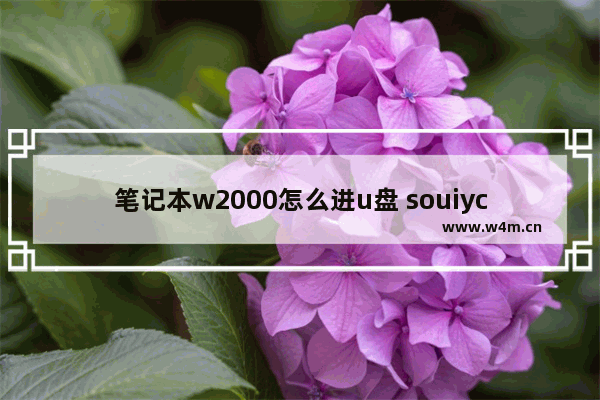 笔记本w2000怎么进u盘 souiycin笔记本电脑w2000