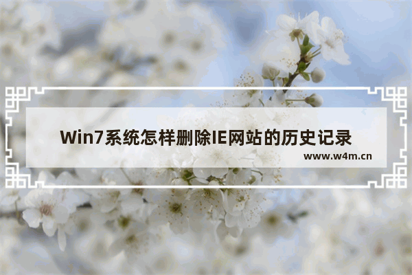 Win7系统怎样删除IE网站的历史记录