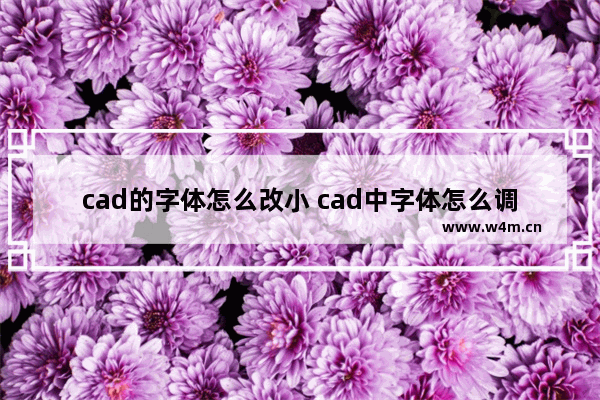 cad的字体怎么改小 cad中字体怎么调小