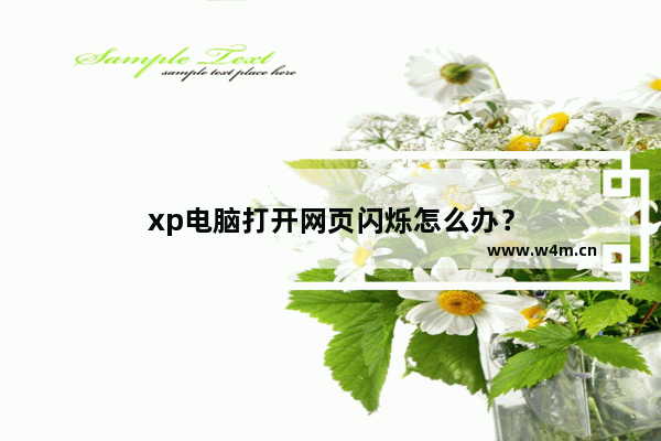 xp电脑打开网页闪烁怎么办？