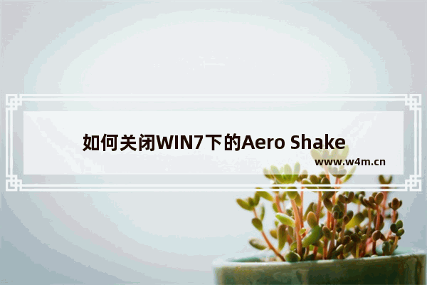 如何关闭WIN7下的Aero Shake功能？