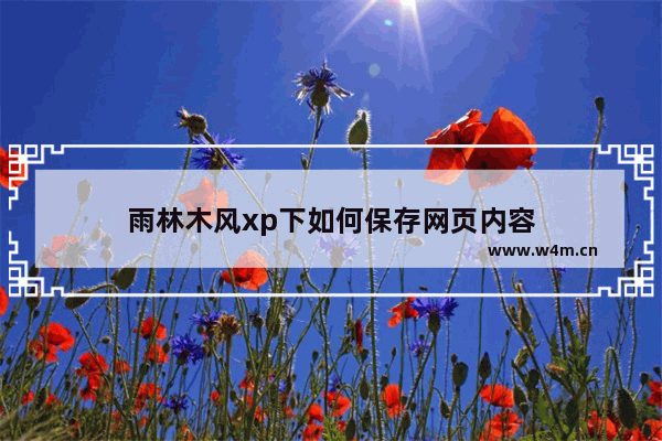 雨林木风xp下如何保存网页内容